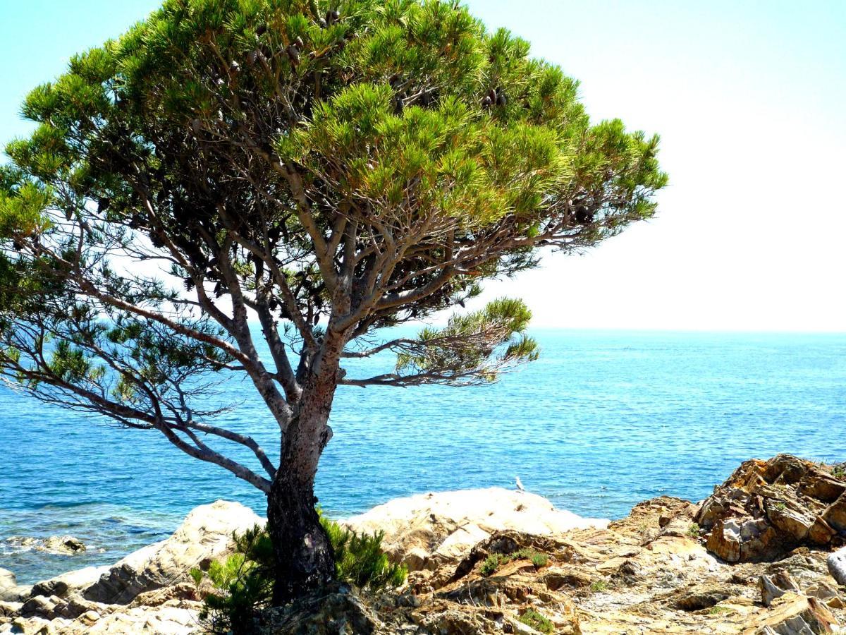 Caseta De Pescadors A Les Cales De Colera, 2ª Linea De Mar Holiday home *
